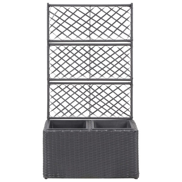 Freeport Park Newsome Rattan Planter Box with Trellis & Reviews